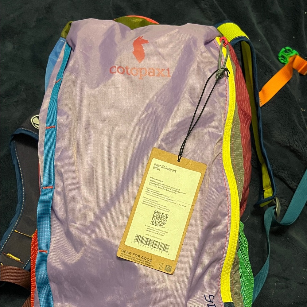 Cotopaxi Men's Backpack in Purple and Multicolor
